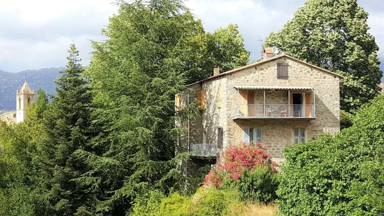 Apartamento Housica & Co. Ucciani Exterior foto